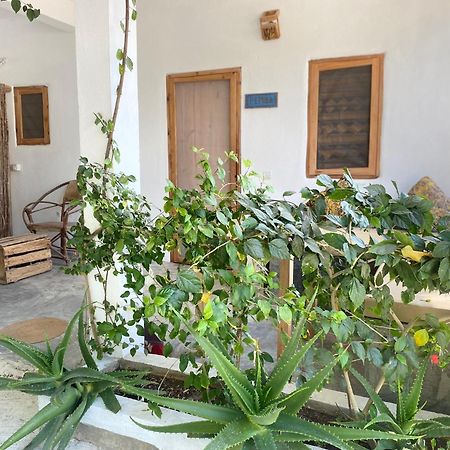Bondeni Beach House Jambiani  Exterior photo